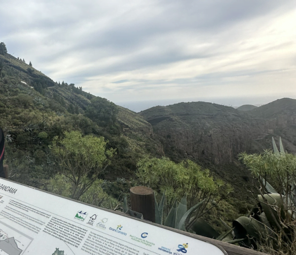 Naturbild över ett berg på Gran Canaria.